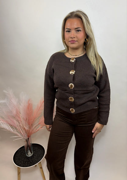 GEBREID DAMES TRUI MET SCHELPKNOPEN BRUIN 758