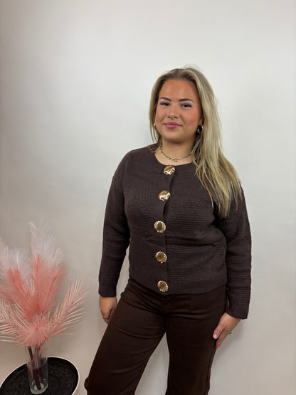 GEBREID DAMES TRUI MET SCHELPKNOPEN BRUIN 758