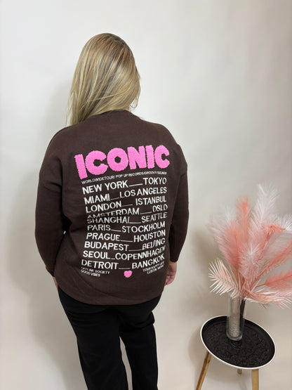 ICONIC SWEATER BRUIN MET ROZE LETTERS 639