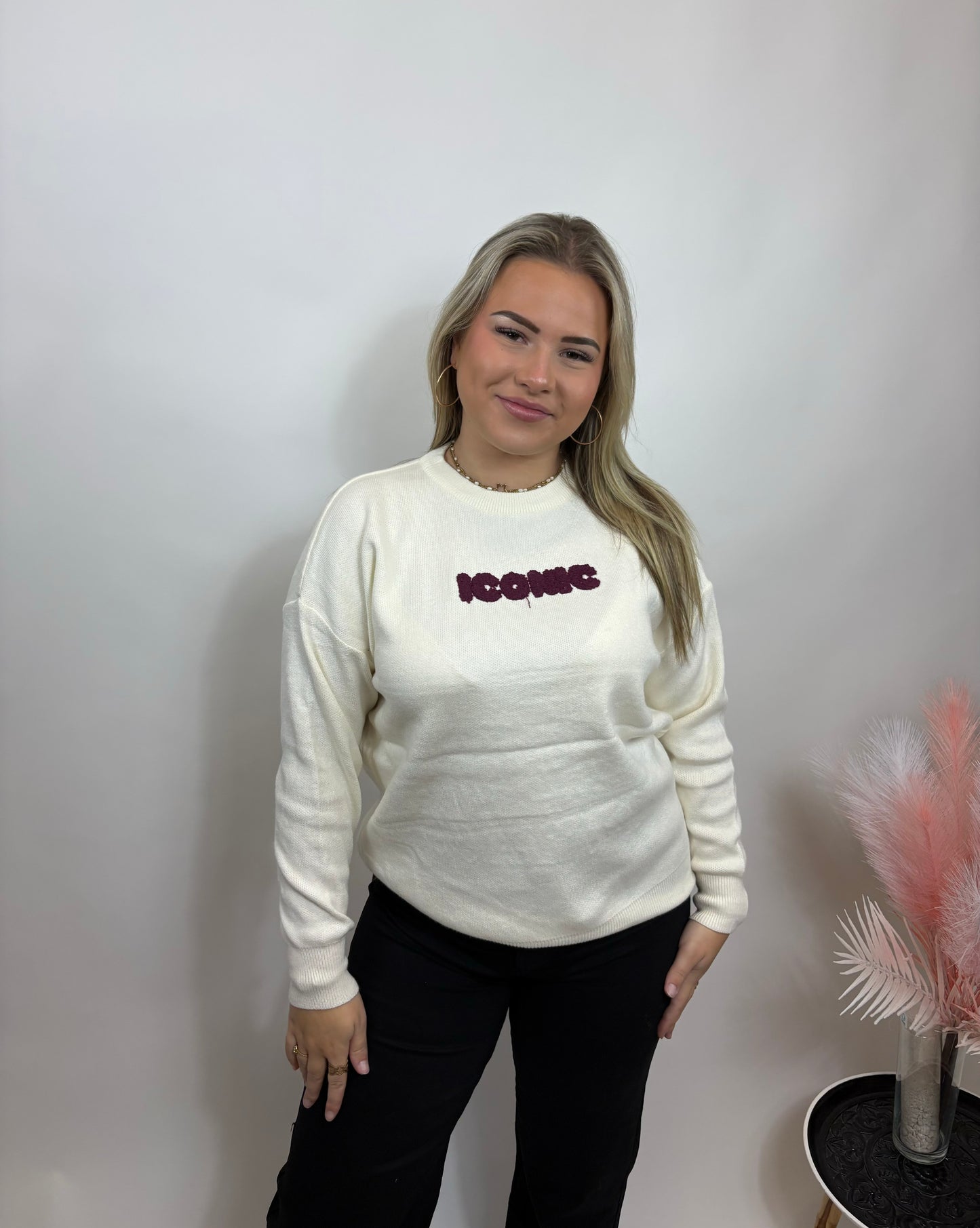 ICONIC SWEATER BEIGE MET ROZE LETTERS 639