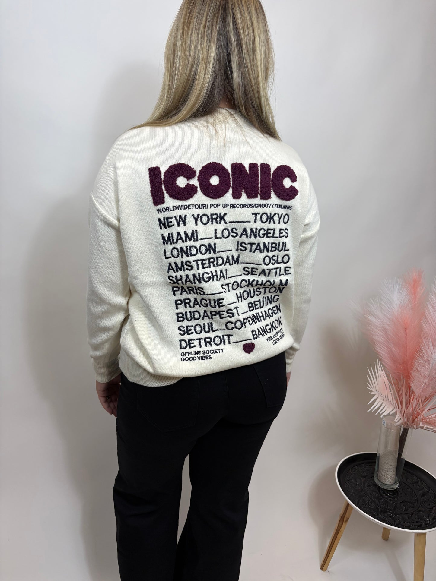 ICONIC SWEATER BEIGE MET ROZE LETTERS 639